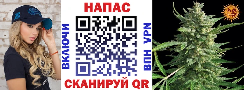 МАРИХУАНА гибрид  Перевоз 